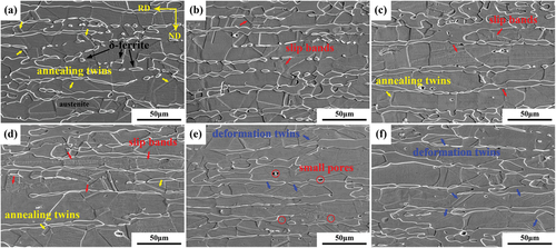 Figure 7. SEM microstructures of Fe-Mn-al dual-phase steel at different levels of deformation: (a) un-deformed; (b) 1.0 mm; (c) 3.0 mm; (d) 6.0 mm; (e) 9.0 mm; (f) 12.9 mm (failed).