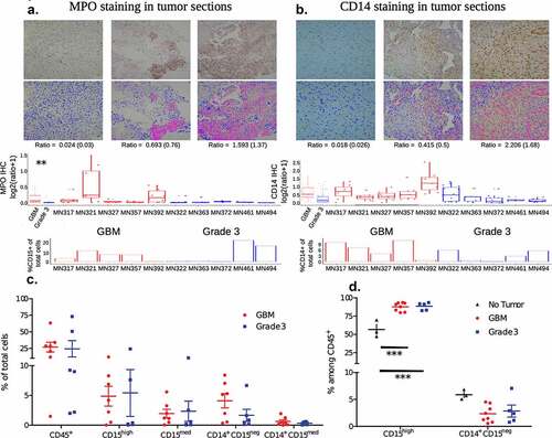 Figure 1. Immune cell frequencies