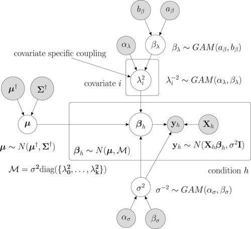 Figure 1. Graphical model representation of the new hierarchically coupled Bayesian regression model. The mathematical details can be found in Section 3.1. Free (hyper-)parameters are in white circles. The data and fix hyperparameters are in gray circles. The two boxes indicate the experimental conditions h=1,…,H and the covariate-specific coupling parameters i=0,…,k.