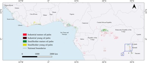 Figure 5. Spatial distribution map of oil palm subclasses in Africa.