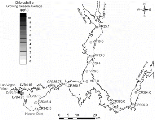 Figure 3 Average growing season (Apr– Sep) chlorophyll a concentrations (a surrogate for algae levels) at 17 monitoring stations in Lake Mead during 2007–2008. Only stations for which at least 3 samples (water pooled over 0–5 m) were taken during each growing season are shown.