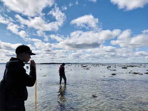 Figure 1. During the Imalirijiit Science and Culture Land Camp, Inuit youth and scientists are learning about, and eating, seaweeds on the land. Photograph by Marianne Falardeau during the 2021 Imalirijiit Science and Culture Land Camp. 5 August 2021, Marralik, Nunavik, Canada.