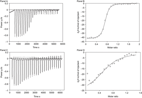 Figure 2.  Representative isothermal titration calorimetry data for 1d binding to hCA II (Panels A and B) and hCA IX (Panels C and D). Panels A and C show the raw isothermal titration calorimetry data, panels B and D show integrated ITC data fitted with a single binding site model. Binding constants are listed in Table 2.