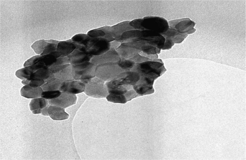 Figure 6 The transmission electron microscopy images of pure sulphated zirconia nanoparticles.