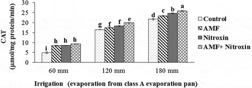 Figure 2. Interaction effect of irrigation and inoculation with bio-fertilizers on CAT activity of sorghum. Values represent means ± SE. Different letters indicate significant differences using LSD test (P <.05)Figure 3