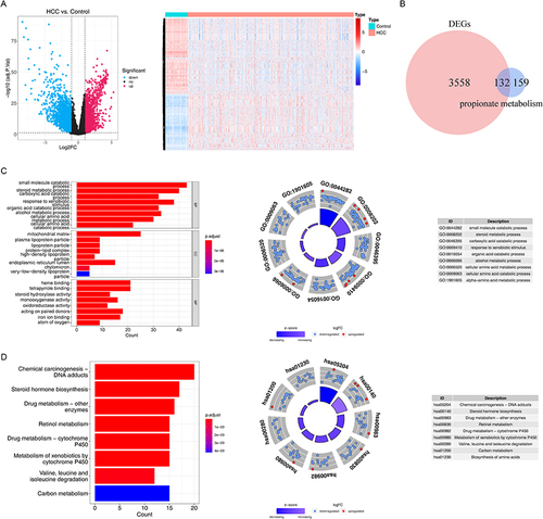 Figure 1 The differentially expressed propionate metabolism-related genes (DE-PMRGs) and functional enrichment analysis. (A) 3690 differentially expressed genes (DEGs) between liver Hepatocellular carcinoma (LIHC) and normal control (NC) samples. (B) The venn diagram of 132 DE-PMRGs. (C and D) The Gene Ontology (GO) functions (C) and Kyoto Encyclopedia of Genes and Genomes (KEGG) pathways (D) enriched by 132 DE-PMRGs. BP, biological progress; CC, cellular component; MF, molecular function.