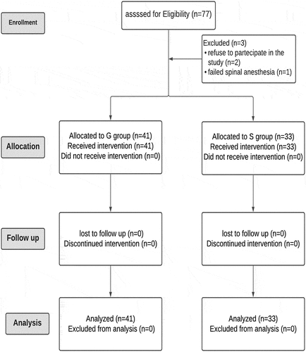 Figure 1. CONSORT flow chart in the two studied groups