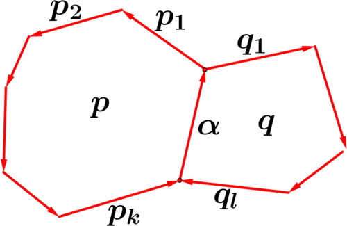 Figure 2. α is part of a positive cycle p and a negative cycle q.