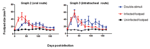 Graphs 2 and 3 Kinetics of footpad lesions in BALB/c mice infected with viable F. pedrosoi cells that received oral (graph 2) or pulmonary (graph 3) mucosal stimuli with nonviable fungal cells. Data are shown as the mean +/- SE. The Student's t test was used to verify the significance between co-stimulation and footpad infection (one site) data; p > 0.05.