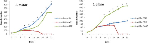 Figure 1. Mean fronds number and SE of L. minor and L. gibba after 21 days of cultivation on SH, MS and AAP media.