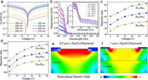 Figure 5. (a) Photocurrent and (b) responsivity of ε-Ga2O3/diamond photodetector under different incident wavelength ultraviolet light at different applied voltage, the insert figure in (b) shows corresponding logarithmic responsivity. The (c) solar-blind and (d) visible rejection ratio of the ε-Ga2O3/diamond photodetector at different applied voltages, respectively. A schematic illustration of the electric field intensity in ε-Ga2O3/diamond photodetector with (e) 200 nm and (f) 1 μm ε-Ga2O3 layer.