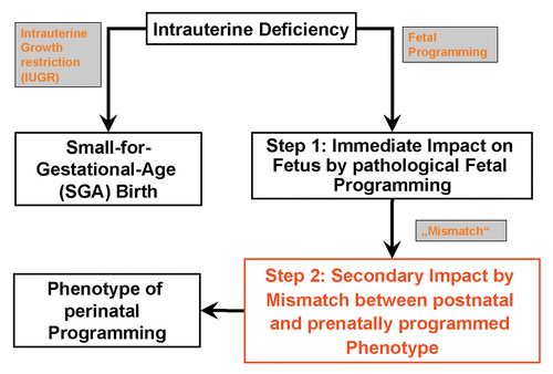 Figure 1 Concept of perinatal programming of diseases of later age.