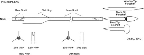 Figure 1. Schematic drawing of prehistoric composite dart and arrow projectiles with named elements. Not to scale.