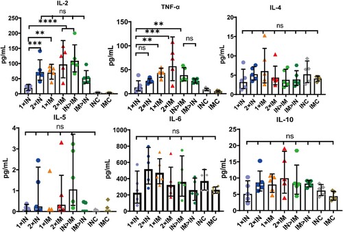 Figure 6. Th1/Th2 skewing in ChAdTS-S immunized mice measured using MSD cytokine profiling. Lymphocytes were stimulated with SARS-CoV-2 spike peptide pools spanning the entire spike protein for 24 h. IL-2, TNF-α, IL-4, IL-5, IL-6, and IL-10 levels in supernatants were measured (n = 5 per group, one spot represents one sample). Bars represent geometric means ± geometric SD, *P < 0.05; **P < 0.01; ***P < 0.001; ****P < 0.0001; ns: P > 0.05.