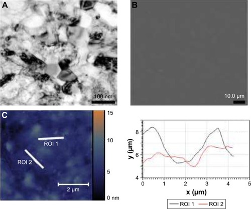 Figure 3 Characterization of the noncoated nanograined titanium samples. (A) Microphotograph of grain structure of nanotitanium samples. (B) Scanning electron microscopy of the polished titanium surface. (C) AFM reconstruction of the polished surface of nanotitanium with microtopography of the sample surface according to the AFM reconstruction.Abbreviations: AFM, atomic force microscopy; ROI, region of interest.