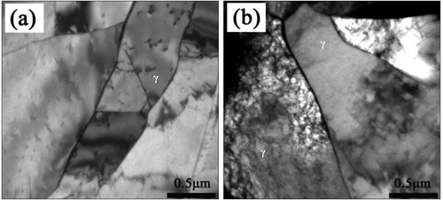 Figure 4. TEM micrographs of the alloy after straining to 0.4 at 1323 K. (a) = 0.01 s−1; (b) ε = 10 s−1.