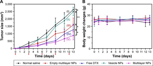 Figure 9 Therapeutic efficacy and toxicity of mice treated with various samples.Notes: (A) In vivo tumor volumes after IV injection and (B) body weight changes. (I) Normal saline, (II) empty multilayer NPs, (III) free DTX (commercial DTX formulation [Taxotere®]), (IV) the vesicle NPs, and (V) the multilayer NPs in xenograft mice models with SCC-7 cancer cells. Red arrows indicate the injection time point. Data are presented as the mean ± SD (n=4). *P>0.05; **P<0.05.Abbreviations: DTX, docetaxel; IV, intravenous; NPs, nanoparticles; SD, standard deviation.