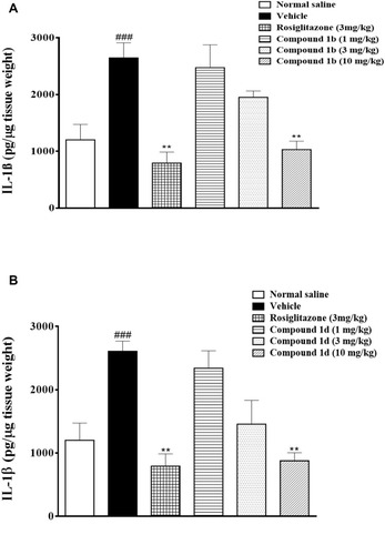 Figure 5 A. Effect of thiazolidine derivative, 1bon IL-1β production in the spinal cord in response to carrageenan-induced inflammation in male mice. B. Effect of thiazolidine derivative 1d on IL-1β production in the spinal cord in response to carrageenan-induced inflammation in male mice. Animals were sacrificed; spinal cords were isolated and stored at −80ºC. The spinal cord was homogenized as described in the method section and the IL-1β levels were measured by ELISA assay. **P<0.01. Analyzed by one-way ANOVA followed by Tukey’s post hoc test. ###Normal control vs negative control.