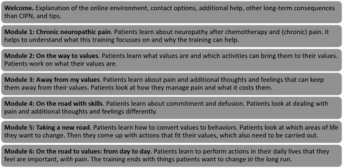 Figure 3. Overview of Embrace Pain sessions and content.