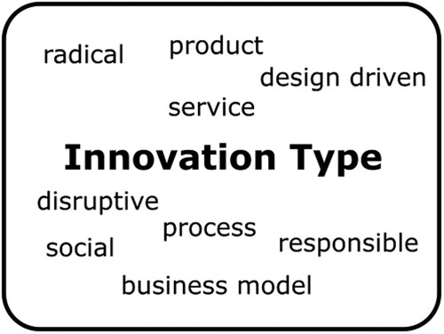 Figure 21: Innovation type excerpt from conceptual framework.