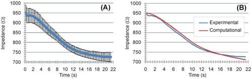 Figure 8. (A) Evolution of the electrical impedance during ex vivo experiments (mean and standard deviation) (B) Comparison between computer results (red line) and mean values of the experiments (blue line).