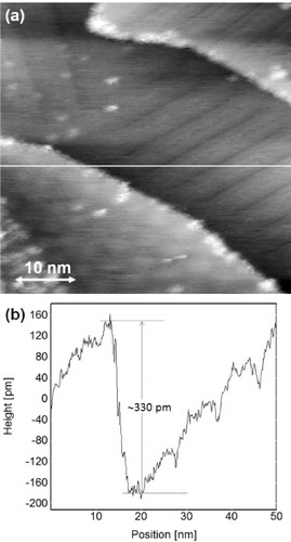 Figure 2 (a) An STM height image of a nanotrench formed in a graphite(0001) terrace on a 0.3% C-doped Ni(111) substrate, measured with a tungsten tip at room temperature in UHV (Vs=1.5 V, It=69 pA). (b) A cross-sectional profile along the white line in panel (a). The depth of the nanotrench (∼330 pm) corresponds to a monolayer height of graphite(0001) terrace.