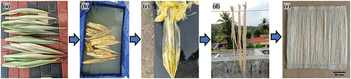 Figure 1. Extraction process of Furcraea foetida fiber. (a) FF plant leaves, (b) soaking of FF leaves in water, (c) separation of FF fibers, (d) drying of FF fiber under sunlight and (e) FF fiber mat.