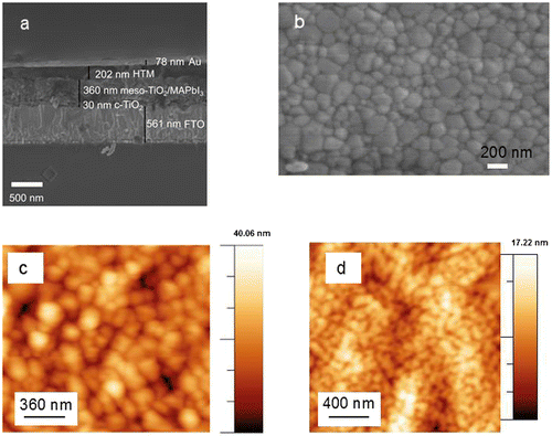 Figure 1. (a) Cross-sectional SEM image of the perovskite solar cell. For laminated devices, gold (Au) was replaced by a PET/Ag-mesh/PEDOT:PSS/sorbitol electrode. (b) Top-view SEM image of the perovskite film. (c) AFM topography of the surface of the perovskite film. (d) AFM topography of the surface of Spiro-OMeTAD coated on the perovskite layer.