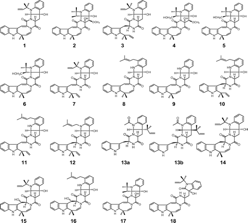 Fig. 1. Structures of the okaramine family. Notes: Okaramines A (1), B (2), C (3), D (4), E (5), F (6), G (7), H (8), I (9), J (10), K (11), L (12), M (13a: original; 13b: revised), N (14), O (15), P (16), Q (17), and R (18).