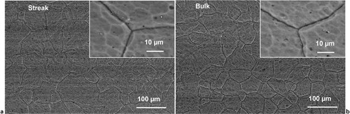 Figure 4. Backscattered electron micrographs of anodic film: insets show typical grain boundary grooves at increased magnifications