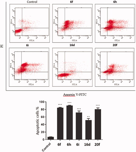 Figure 4. Influence of the promising compounds on the total percentage of AV-FITC positive staining in DLD1 cancer cell line.
