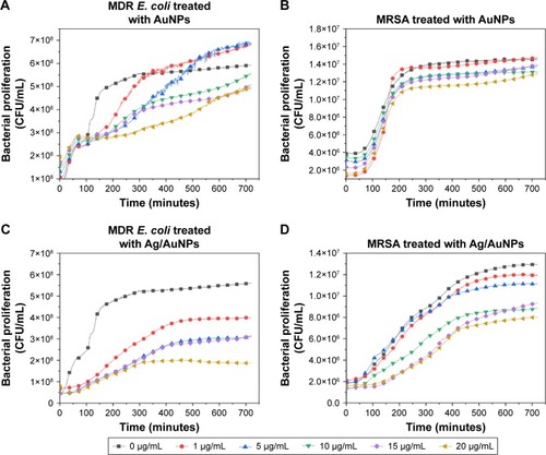 Figure 7 AuNPs (A, B) and Ag/AuNPs (C, D) decrease the growth of MDR E. coli and MRSA. Growth of a 106 CFU/mL suspension of both bacterial strains over 24 hours in the presence of different concentrations of mono- and bimetallic NPs. The values represent the mean ± SD, data = mean ± SD, N=3.Abbreviations: AgNPs, silver nanoparticles; AuNPs, gold nanoparticles; CFU, colony-forming unit; MDR E. coli, multidrug-resistant Escherichia coli; MRSA, methicillin-resistant Staphylococcus aureus; NP, nanoparticle.