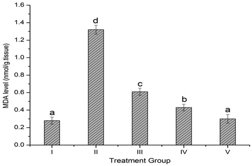 Figure 7. Effects of SXAF on the level of hepatic lipid peroxidation in CCl4-exposed rats. The values are means ± SEM (n = 5), bars with different letters differ significantly at p < 0.05 by DMRT.