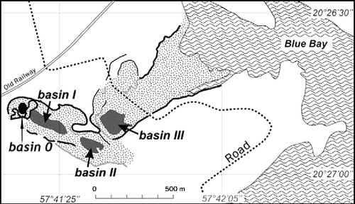 Figure 7 Detail of the Mare aux Songes basin. Modified from Rijsdijk et al. (Citation2009). Basin 0 indicates the probable 1865 excavation site.