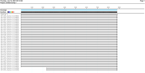 Figure 4 KPC gene sequence comparison of 33 KPC-producing Klebsiella pneumoniae. The figure shows the results of KPC gene sequence comparison among 33 KPC-producing Klebsiella pneumoniae strains. Different colors indicated the degree of sequence inconsistency, and black indicated that the sequence similarity was 100%. The KPC-24 gene carried by KP-s42 and KP-f04 is located at the edge of the scaffold, and the prediction is incomplete.