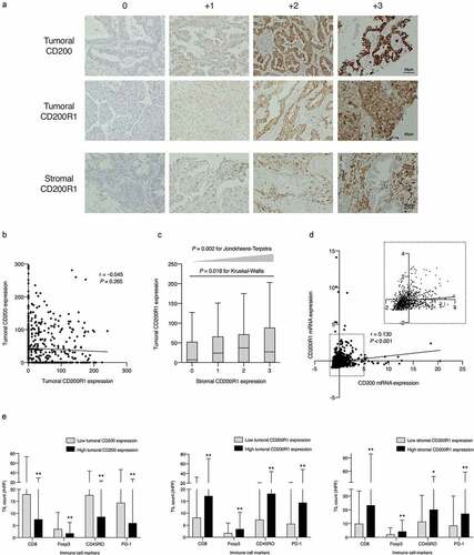 Figure 1. Mutual correlations between CD200 and CD200R1 expression and their associations with tumor-infiltrating lymphocytes (TILs)