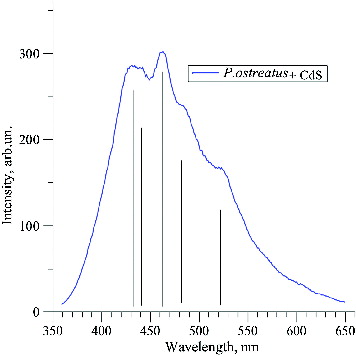 Figure 3. Luminescence spectrum of CdS nanoparticles. Note: Excitation λ = 340 nm.