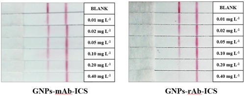 Figure 7. GNPs-mAb/rAb-ICS assay for testing gradient-spiked pyraclostrobin standard solution. * The concentrations of pyraclostrobin standard were, in order, 0, 0.01, 0.02, 0.05, 0.10, 0.20, 0.40 mg L−1.