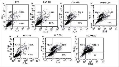 Figure 3. FACS analysis after double labeling RXF393 cell line with PI and Annexin V. The experimental conditions are identical to those shown in Figure 2.