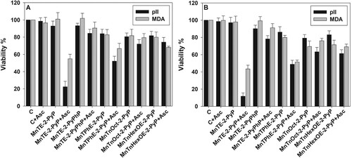 Figure 3. Sensitivity of pII and MDA-MB-231 cell lines to MnP/ascorbate cytotoxicity.Note: Cytotoxicity of MnP/ascorbate redox cycling on pII and MDA-MB-231 cells. Cells were treated for 24 h with either 1.0 μM (Panel (A)) or 5.0 μM (Panel (B)) MnPs and 1.0 mM ascorbate. All conditions were, as described in Figure 2. Viability was determined by the MTT assay. Data are presented as mean ± S.D.