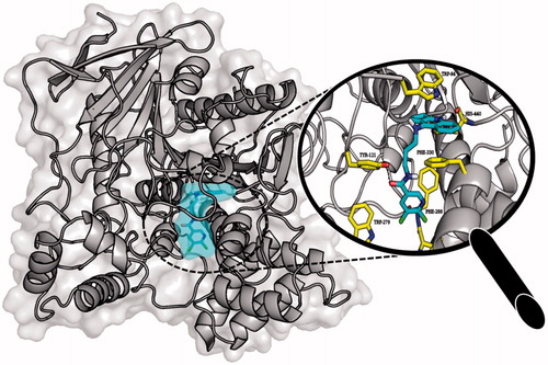 Figure 6. Binding mode of compound 3b within the active site of AChE.