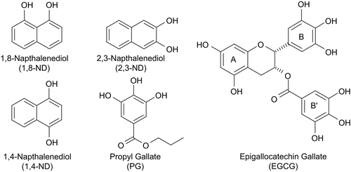Figure 7.  Structures of novel antioxidants (1,8-naphthalenediol (ND), 2,3-ND, and 1,4-ND) as well as propyl gallate (PG) and epigallocatechin gallate (EGCG) used to protect CS against inactivation by AAPH.