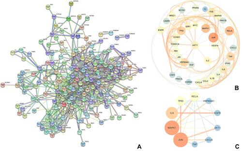 Figure 5 Screening of HUB genes. (A) PPI network of WMW against SDA performed by STRING database with the parameters of the organism for “Homo sapiens” and the minimum required interaction score≥ 0.9. (B) 35 HUB genes network performed by Cytoscape yFiles Radial Layout. Low degree values showed large sizes and bright colors, and small sizes and dark colors for high degree values on the contrary. (C) The 10 core targets network, including JUN, MAPK1, IL6, TP53, RELA, HSP90AA1, EGFR, AKT1, CXCL8, and TNF.
