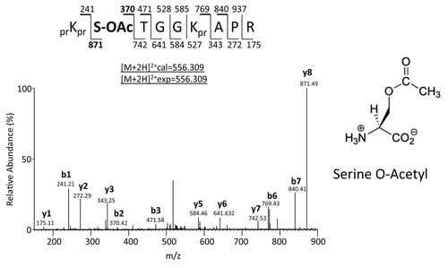 Figure 1. Sequencing of H3S10ac peptide. (Left) MS/MS spectrum of the [M+2H]2+ ion at 556.309 m/z, which was generated from the CAD fragmentation of the prKprS(OAc)TGGKprAPR precursor peptide. Expected mono-isotopic b- (top row) and y-type (bottom row) ion fragment masses are observed. The observed accurate mass, [M+2H]2+(exp), corresponded precisely to the calculated accurate mass, [M+2H]2+(cal) of 556.309 m/z (0 ppm error). OAc refers to the acetyl modification on the S10 residue and pr refers to the propionyl amide group from chemical derivatization of histone proteins. (Right) Structure of an acetylated serine residue