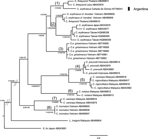 Figure 3. Bayesian inference trees of Callosciurus genus. Tree derived from cytochrome b (Cyt b). Numbers next to branches are Bayesian posterior probabilities, jackknife support values followed by bootstrap values, respectively. Numbers between brackets on a branch that defines a clade correspond to the groups obtained with the Automatic Barcode Gap Discovery (ABGD) method for the marker.