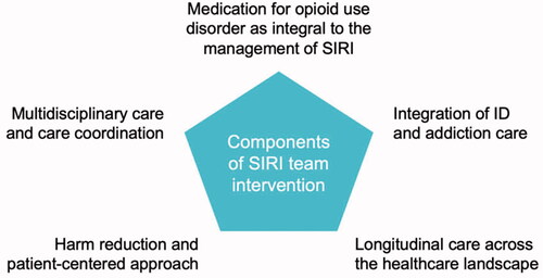 Figure 1. Components of a comprehensive, harm reduction approach to SIRI treatment. ID: infectious diseases; SIRI: severe injection-related infection.