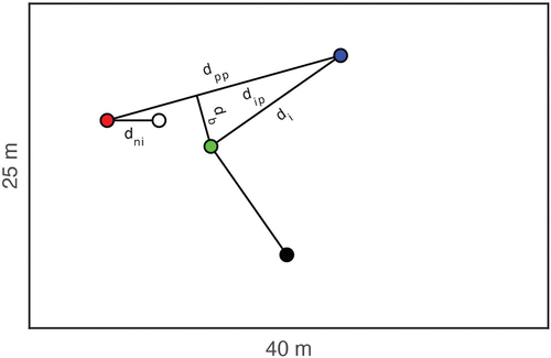 Figure 1. Illustration of the experimental set up and the variables used in the analyses. The red and blue dots indicate the initial positions of both players in the doubles condition. The black dot indicates the standard position of the ball thrower. The ball is headed back at the position marked by the green dot, by the player whose initial position is connected to this green dot by a solid line. The position of the non-intercepting player at the moment of interception is indicated by the white dot. For a description of the variables used in the analyses, please see the text.