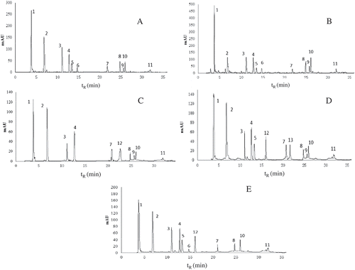 FIGURE 3 HPLC chromatogram of amino acids in different fermentation periods of pickled wax gourd (A–E: pickled for 0, 5, 10, 15, and 20 days, respectively).