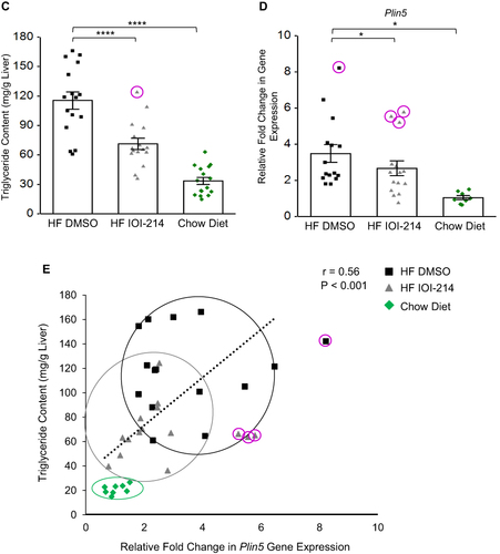 Figure 6 IOI-214 ameliorates HF diet-induced hepatic steatosis.