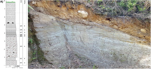 Figure 5. Quarry #34. A, Stratigraphic log showing units QT1 to 9, and the facies type assigned to each unit. B, Outcrop photograph.